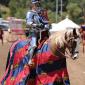 2008, April 26-27 - American Sword of Chivalry Tournament